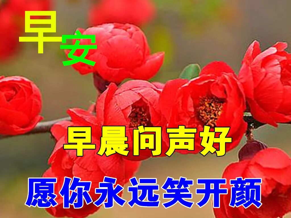6月17日早上好动态表情图片大全 早晨好动图美图大全 Hi有料