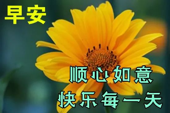 5月8日最漂亮早上好动态表情图片大全 早晨好动图美图大全 Hi有料