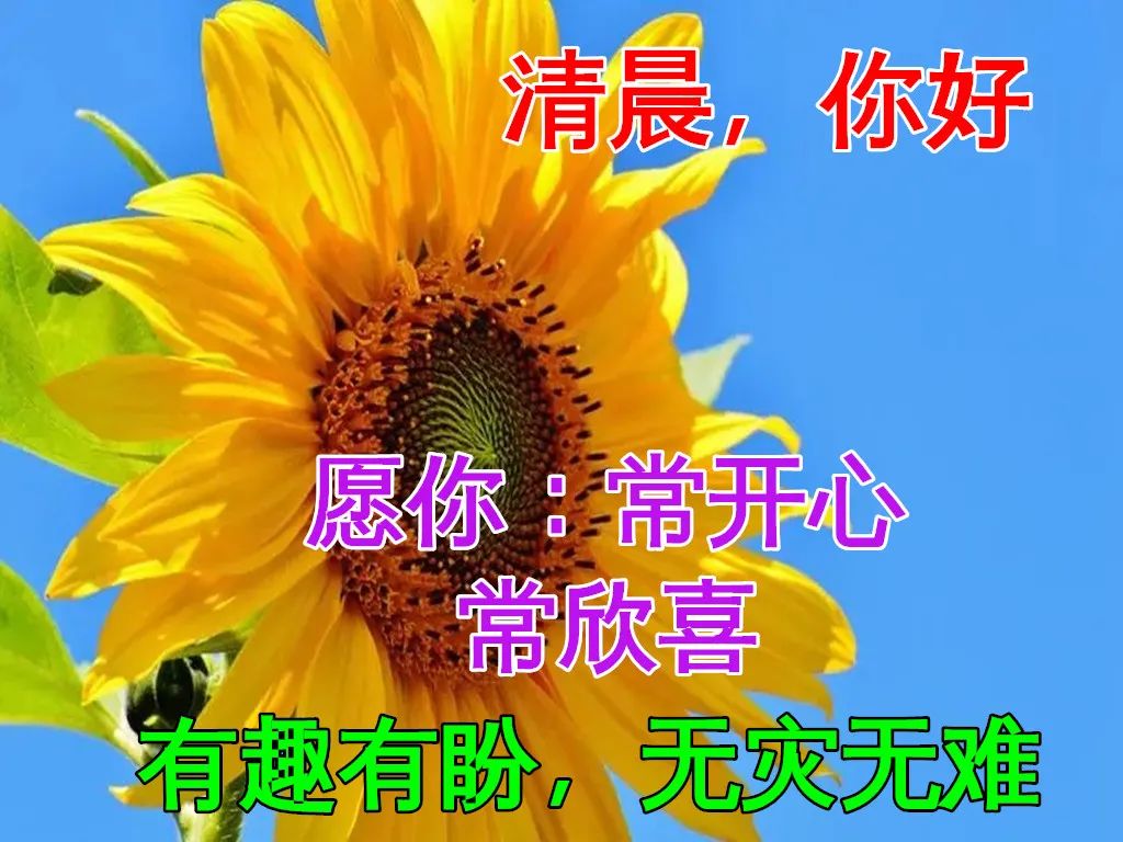 问候表情包_早上问候表情包_美女早上问候表情包