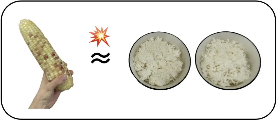 一种易长胖、巨升糖的粗粮，很多人天天吃！插图1