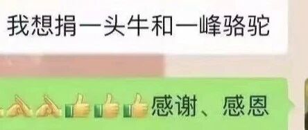 “我想捐一头牛和一峰骆驼”