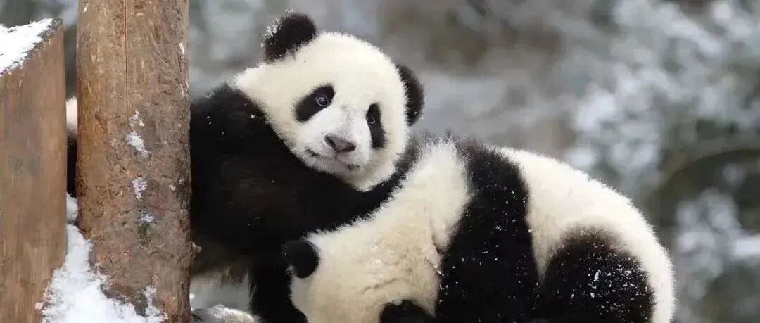 国家公园对公众开放吗？怎么收费？官方回应！