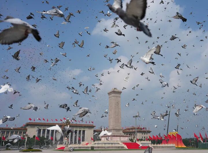 9月3日，纪念中国人民抗日战争暨世界反法西斯战争胜利80周年大会在北京隆重举行。这是纪念大会现场放飞鸽子。新华社记者 牟宇 摄