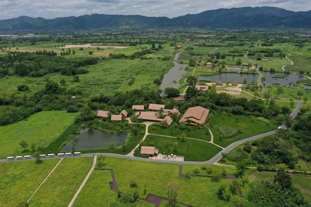 新华社播发重磅文章，阐释“新的文化使命”-图片10