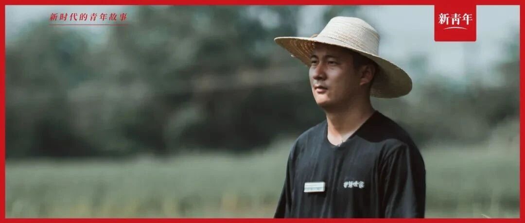 注意！本条推送有鳄鱼出没