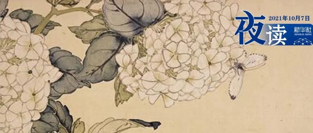 夜读 | 不过度迎合他人，活出真正的自我