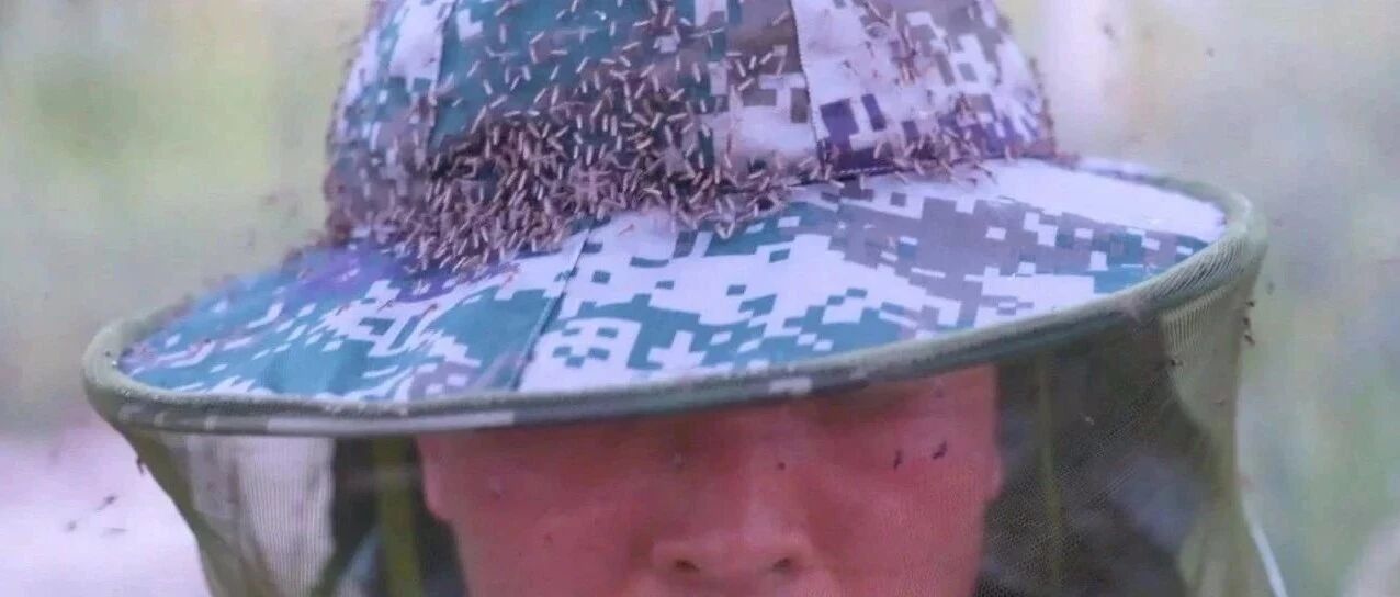 每立方米1700只蚊子！边防官兵穿新装备，驻守“蚊虫王国”