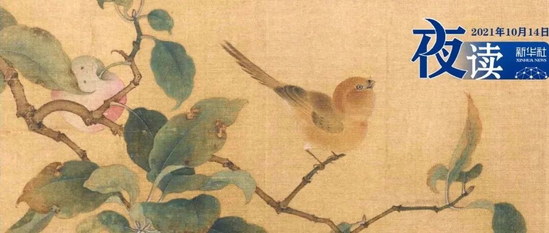 夜读 | 人在低谷时：吞下抱怨，咽下委屈，扩大格局