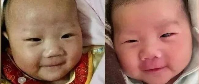 简直一模一样！东东“回来”了