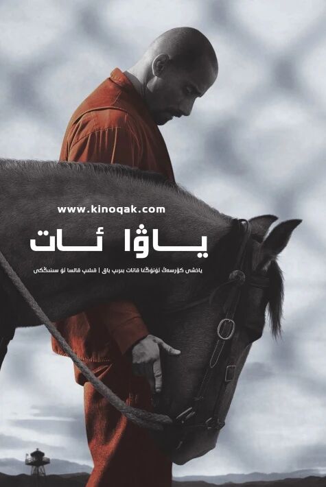 تۈرمىدىكى ياۋا ئات كۆندۈرگۈچى