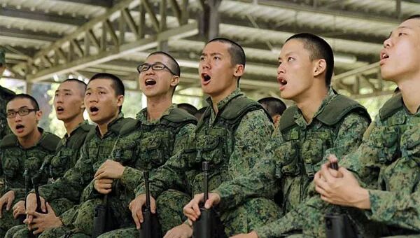 在新加坡怎么"除四害"?蟑螂蚂蚁蚊子和臭虫再也不见!