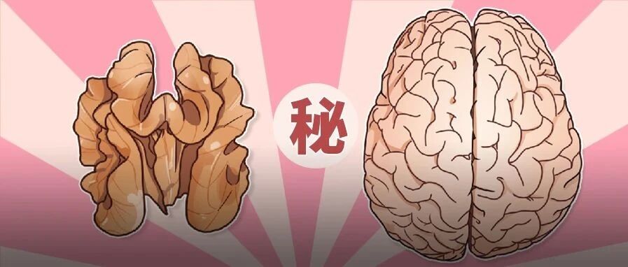 核桃除了补脑还有3大优点！但这2种吃法会害了自己