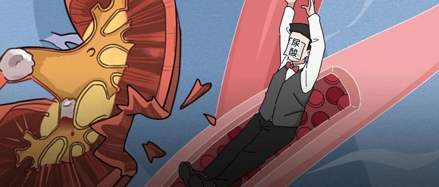 尿酸高最伤肾！这5种食物千万别碰