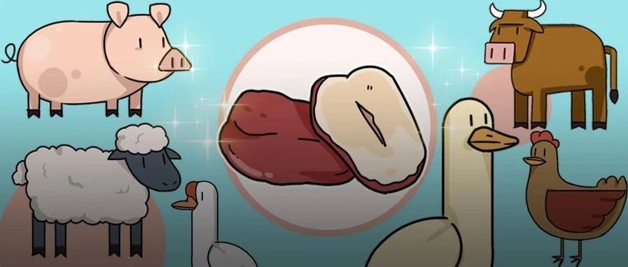 红枣压根不补血！这些食物比它有用10000倍