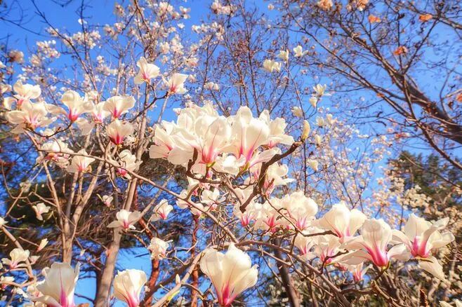 这都可以（北京酒店展会）北京酒店展览会，(图2)