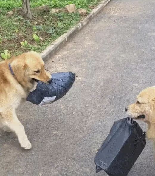 【冷笑話】每日一冷NO.465 搞笑 第13張