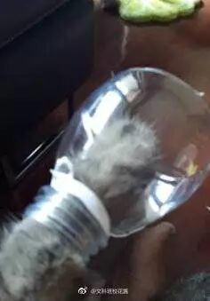 【冷笑話】每日一冷NO.465 搞笑 第8張