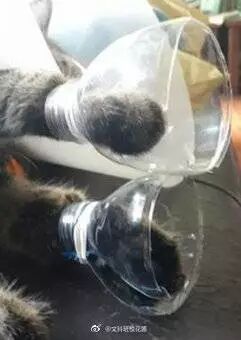 【冷笑話】每日一冷NO.465 搞笑 第9張