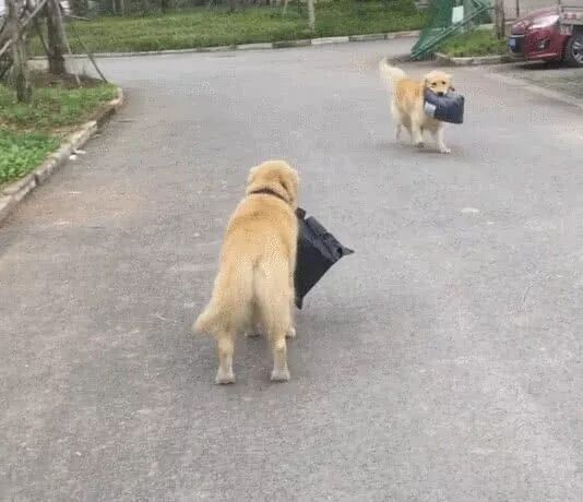 【冷笑話】每日一冷NO.465 搞笑 第12張