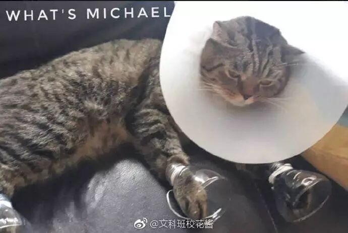 【冷笑話】每日一冷NO.465 搞笑 第6張