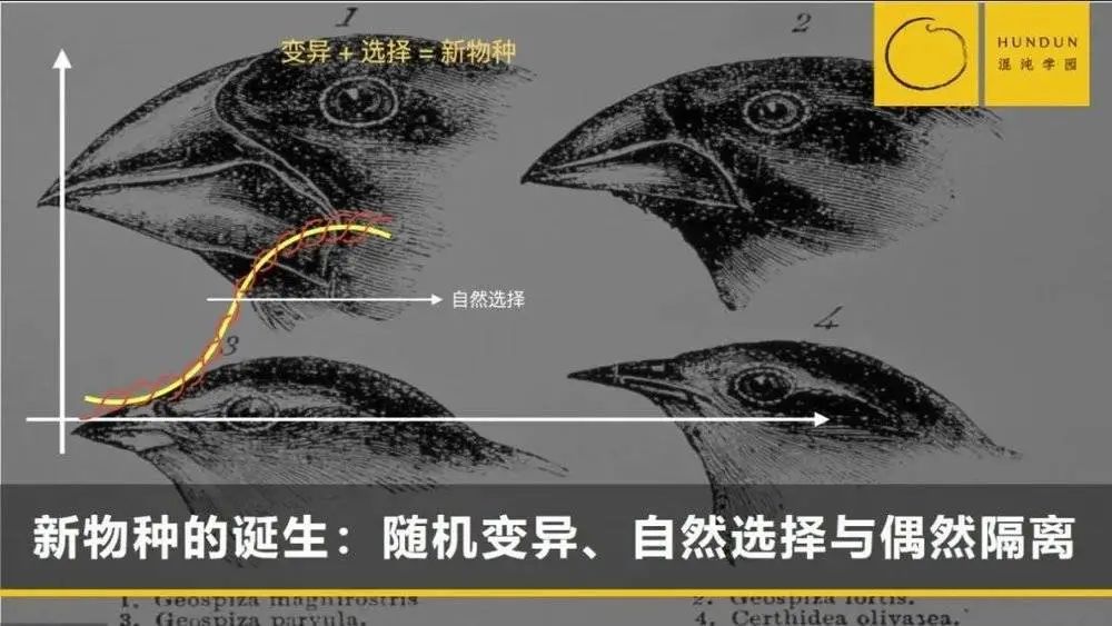 尹烨:洞悉人类本性的建议