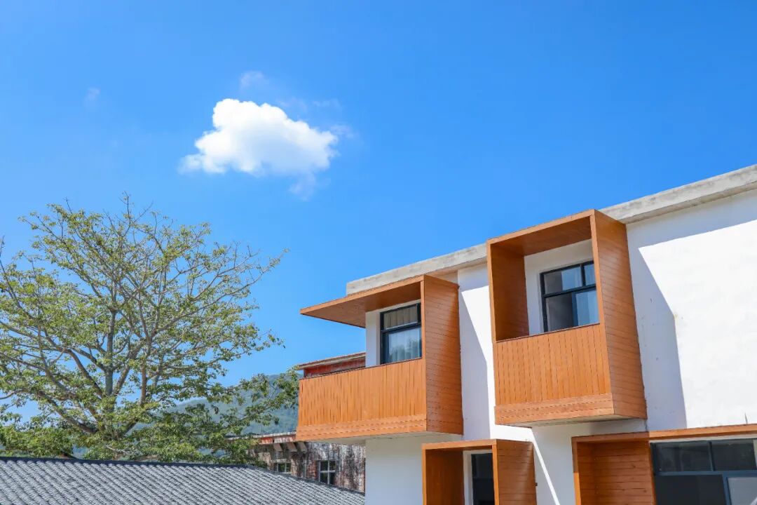 广东旅游民宿 | 禾肚里稻田民宿