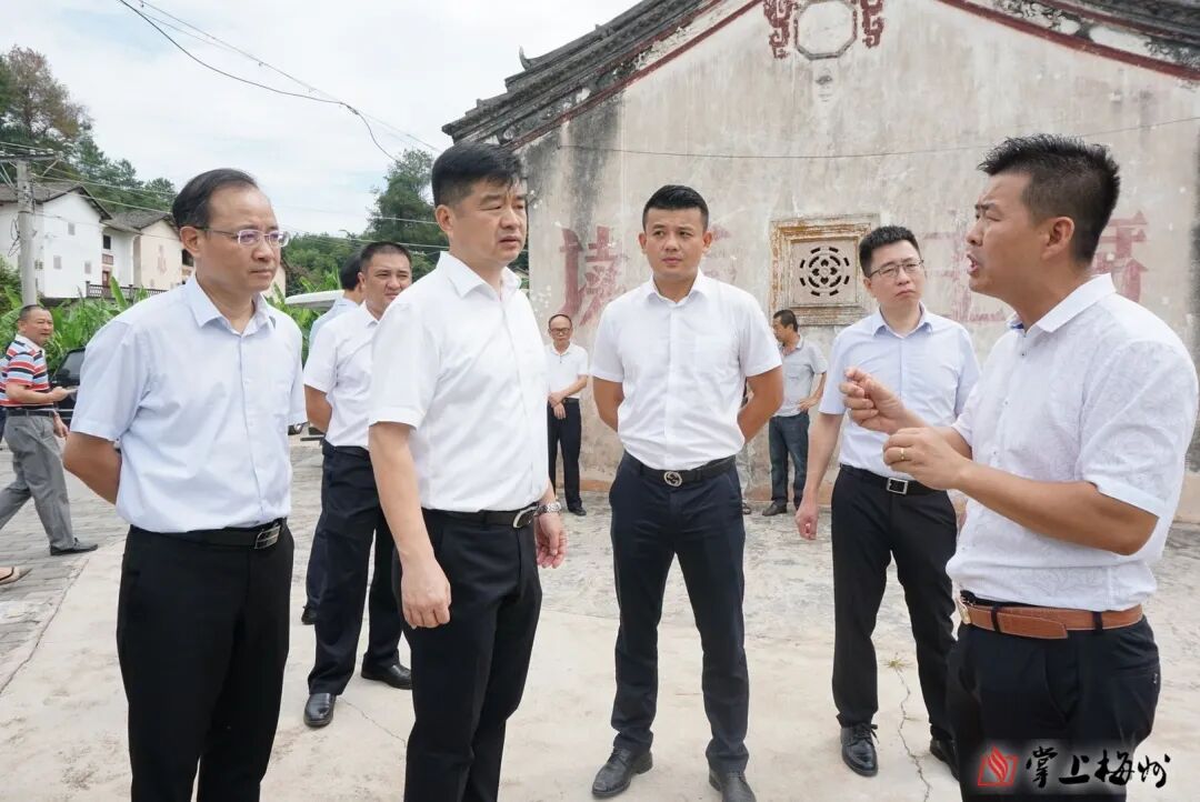 艺术新联乡居综合体项目点调研现场孙春明一行先后到梅江区西阳镇新联