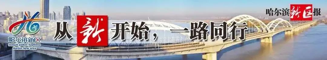 2024年06月12日 哈尔滨天气