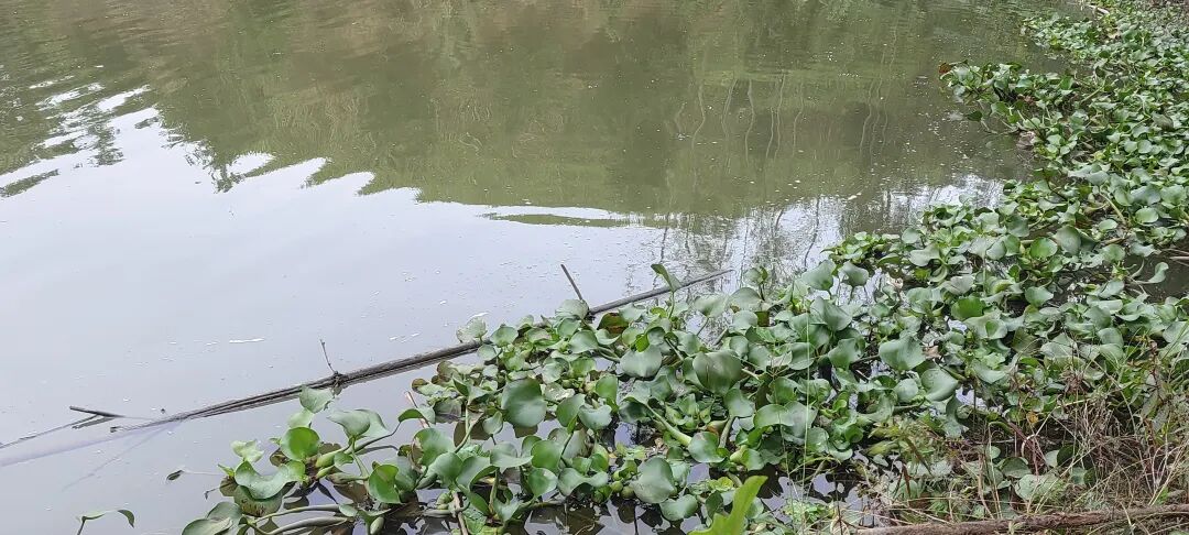 冬日大太陽，這種魚全天都可以釣