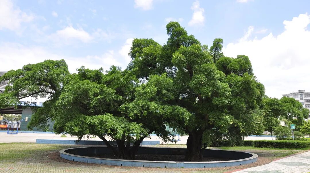 赣南师范科技学院教务_赣南师范学院教务系统_赣南师范学院教务处入口