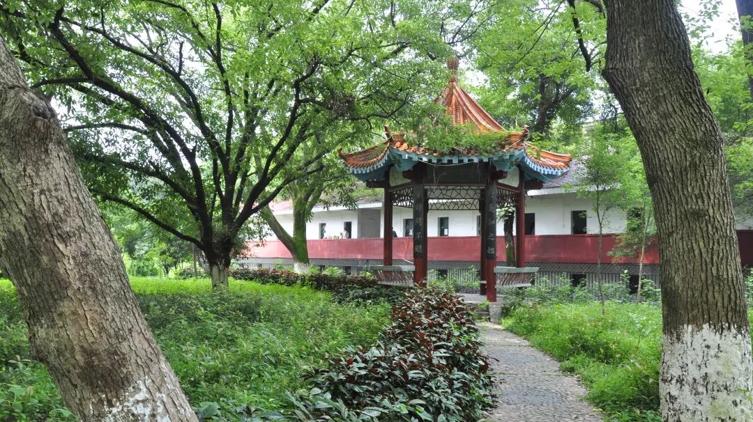 赣南师范学院教务系统_赣南师范科技学院教务_赣南师范学院教务处入口