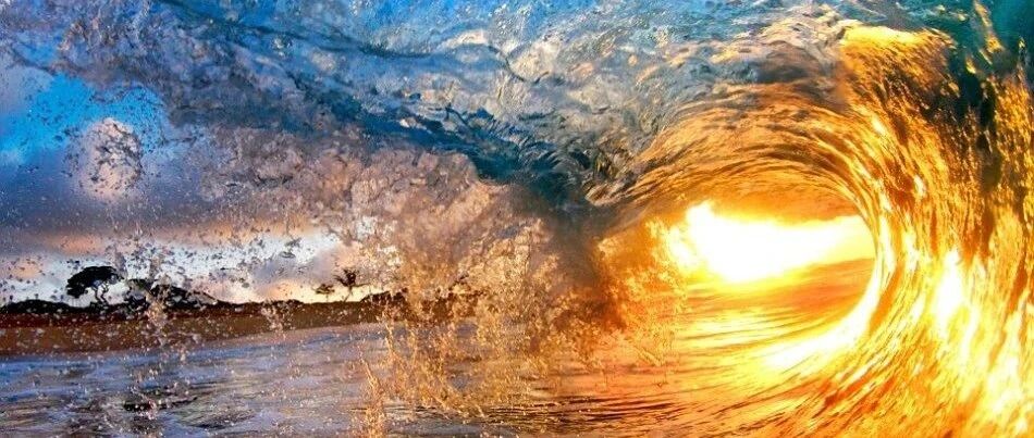 微信公众号悉尼jc画室 Jcartstudio 最新文章 微信公众号文章阅读 Wemp