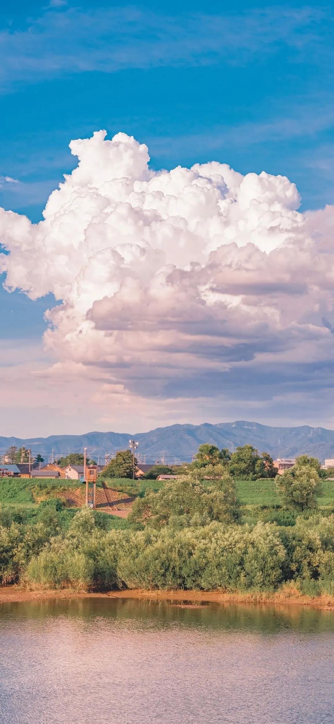 壁纸能力不高可以理解，人品不好无法将就