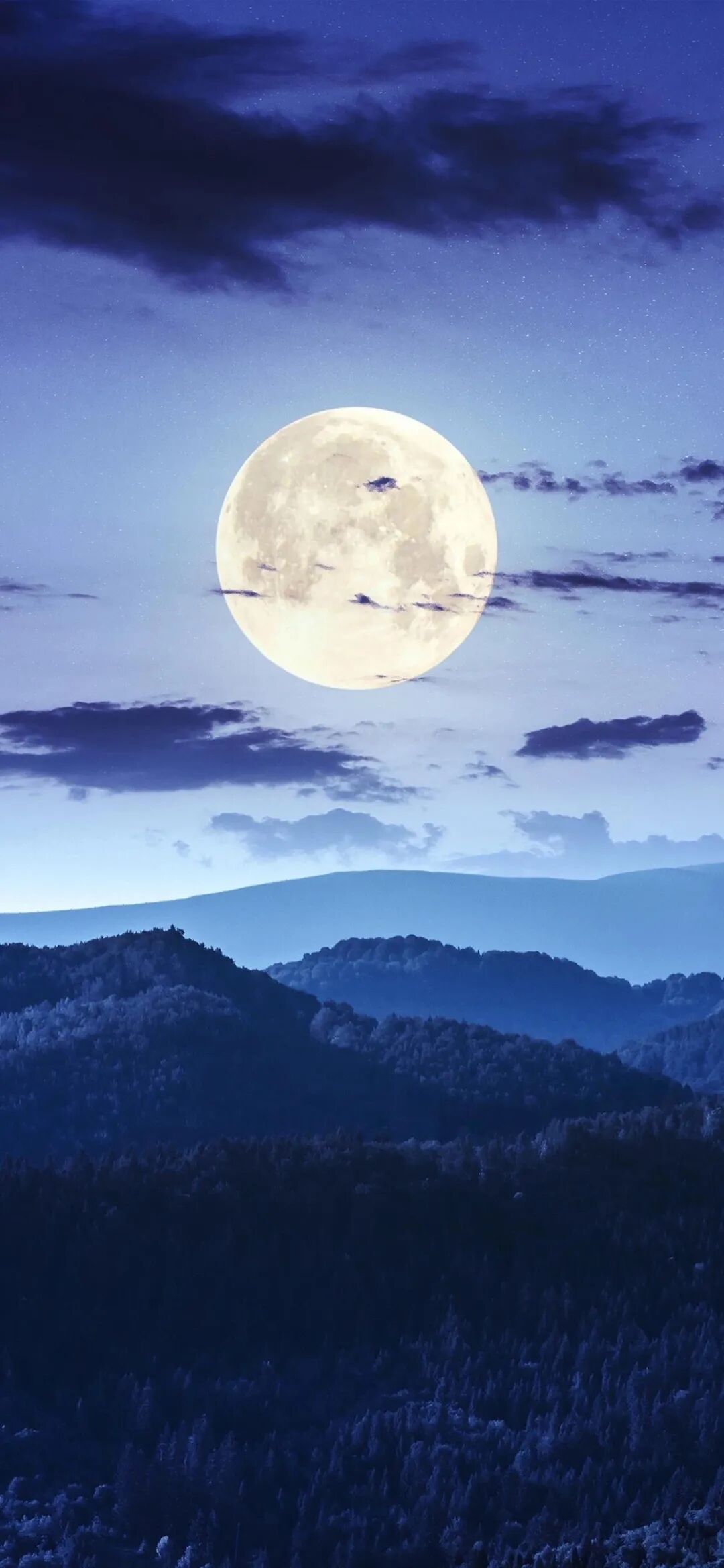 壁纸能力不高可以理解，人品不好无法将就