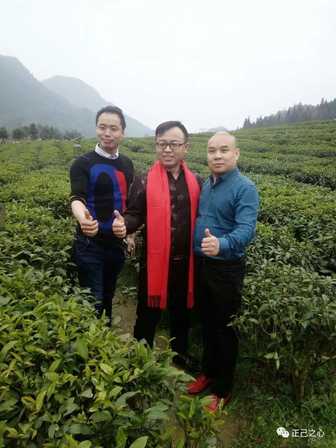 一步步读懂华莱（华莱人的故事）