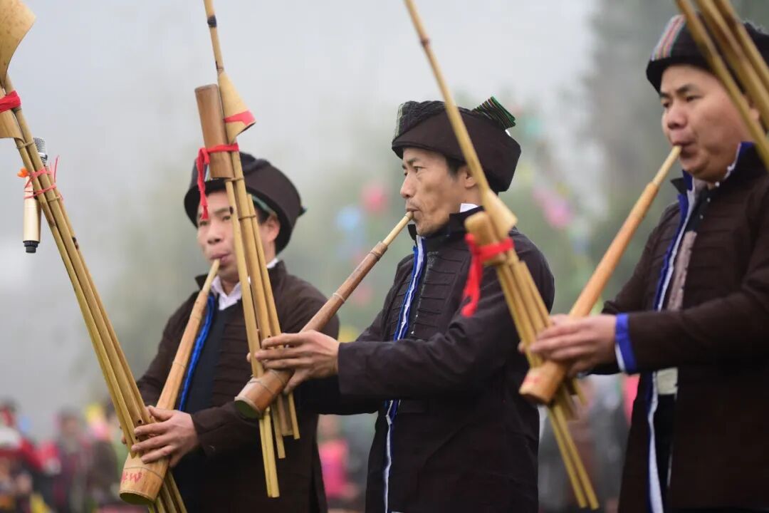 丹寨:翩跹锦鸡舞,悠悠民族情