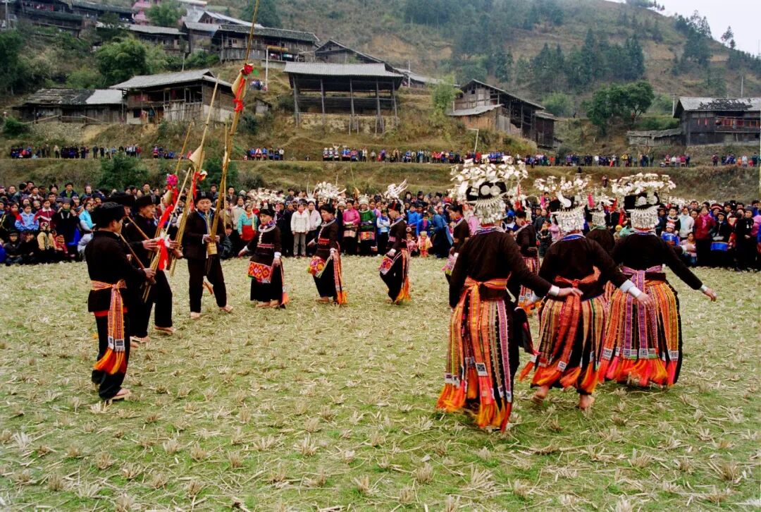 丹寨:翩跹锦鸡舞,悠悠民族情