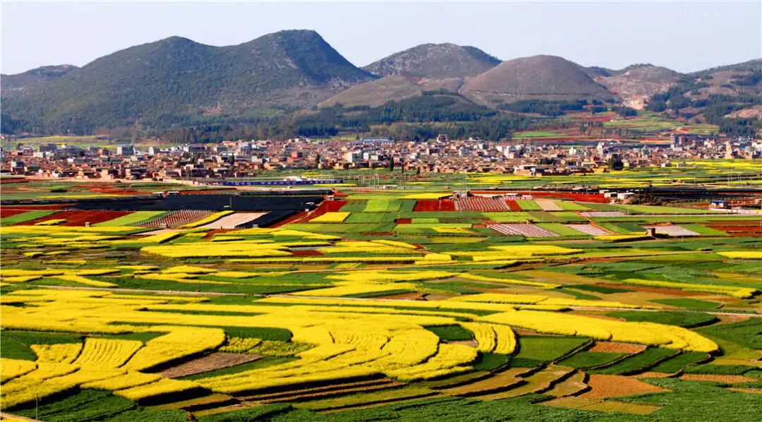 泸西县融媒体中心