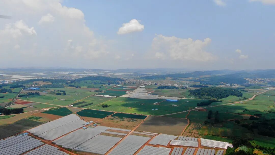 金马镇:"一核多元"助推村级集体经济"全面开花"_泸西县融媒体中心