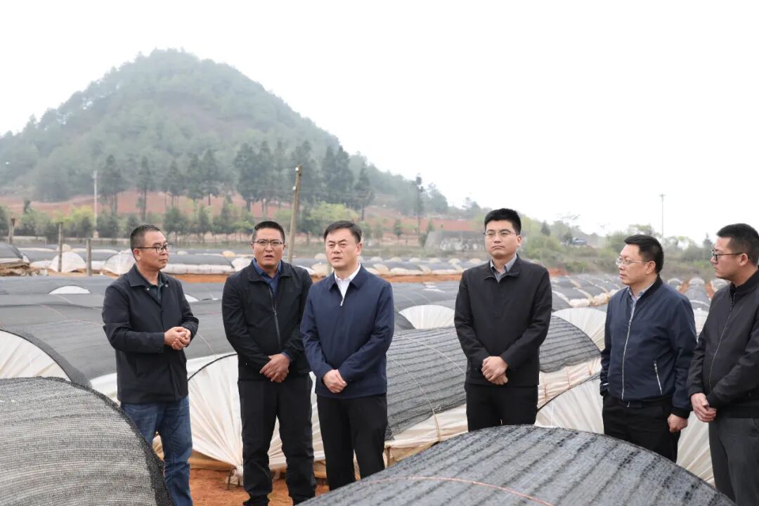 夏明对我县旱情进行调研_泸西县融媒体中心