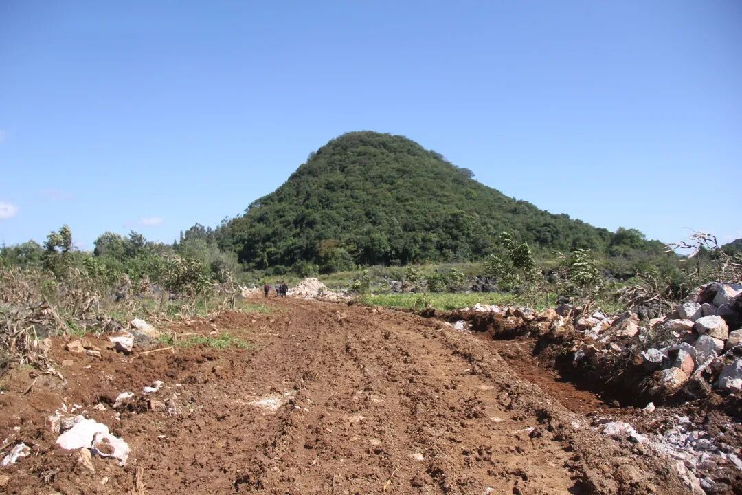 向阳乡:全面吹响大抓项目"冲锋号" 实现"双增双实"_泸西县融媒体中心