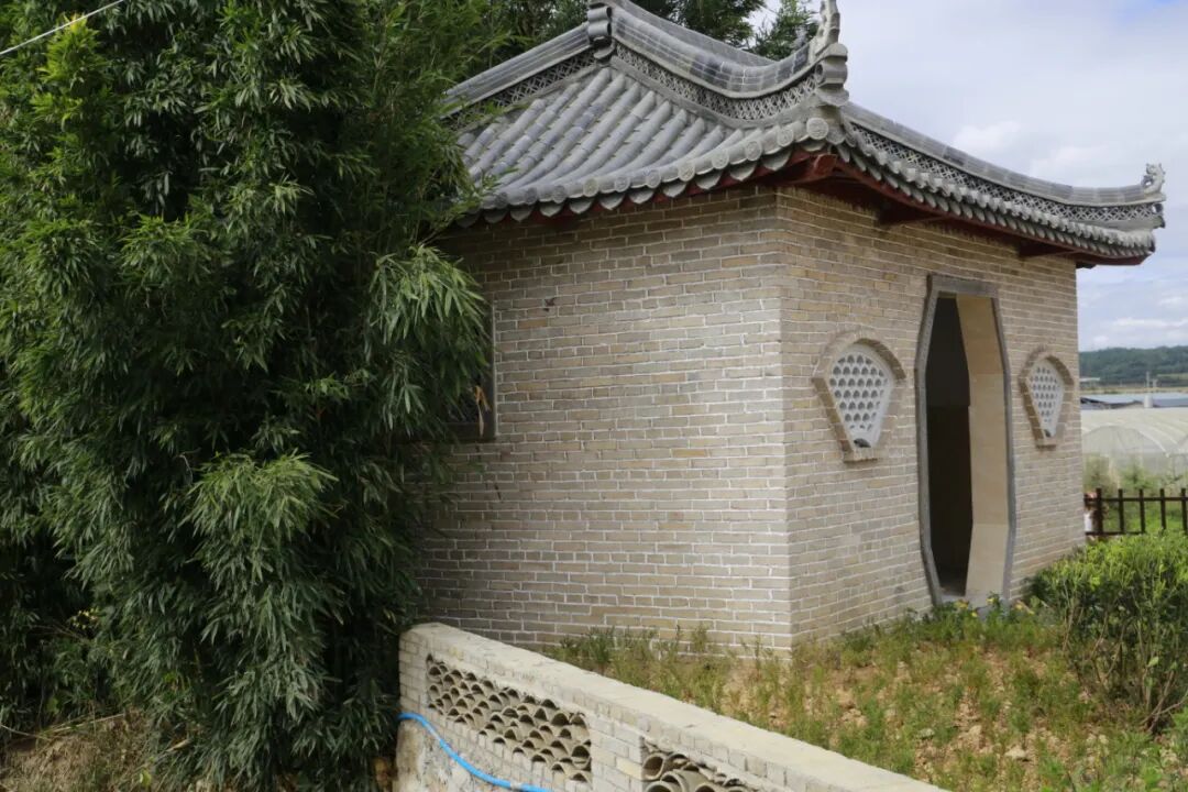 金马镇这里,村净,景美,人和~_泸西县融媒体中心