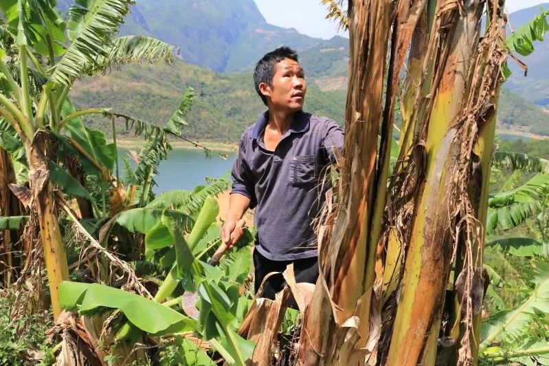 泸西这个贫困户,终于实现了致富梦_要闻_红河频道_云南网