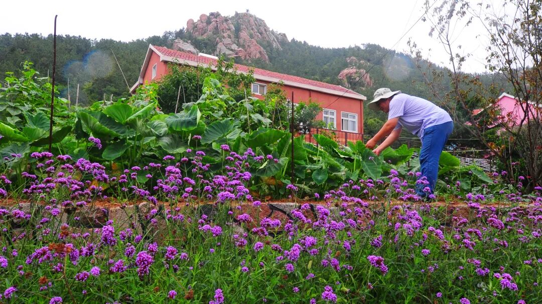 奖励"门前三包" 改善人居环境——青岛市崂山区北宅街道推出农村人居
