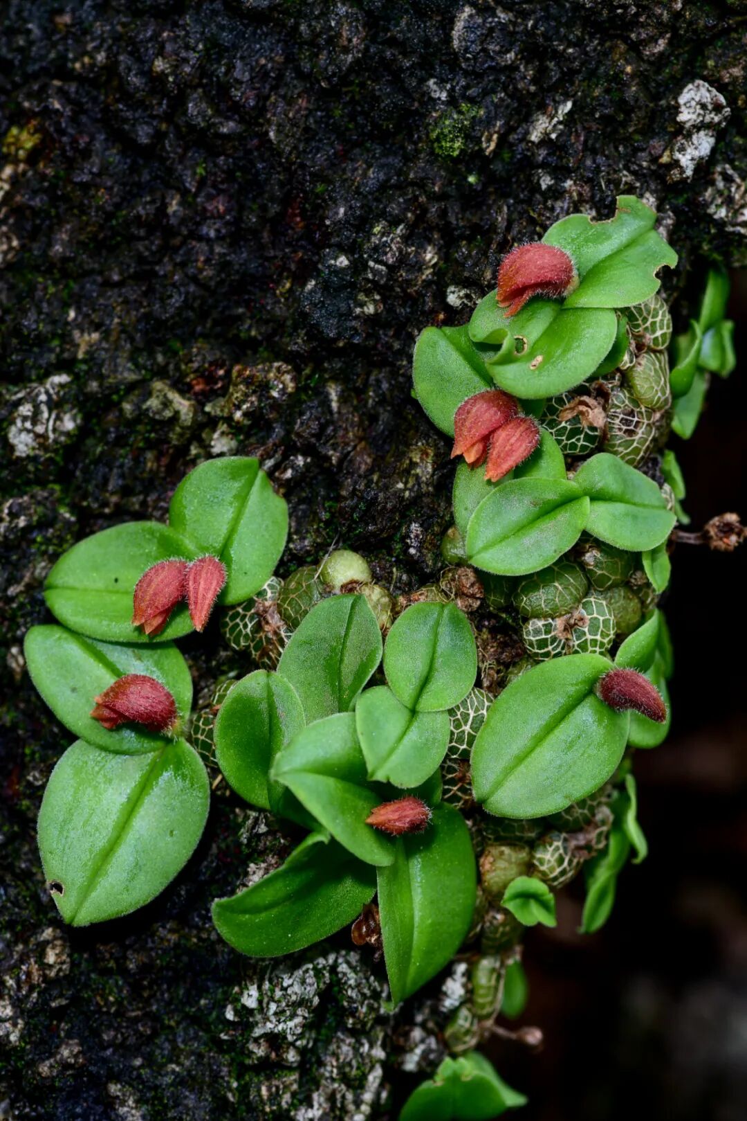 �й����ϣ�ƾʲô�ǡ������ʻ���������