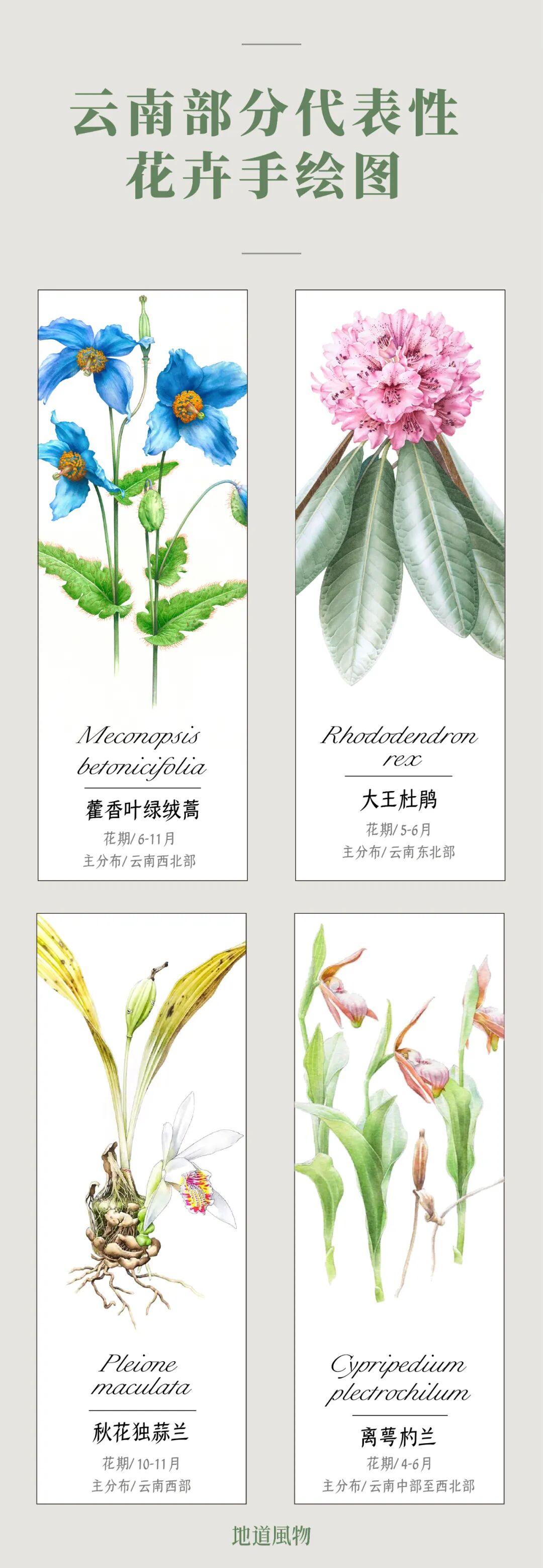 �й����ϣ�ƾʲô�ǡ������ʻ���������