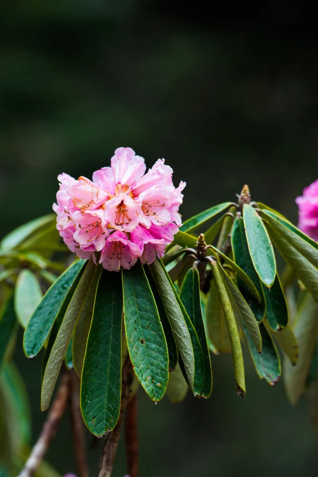 �й����ϣ�ƾʲô�ǡ������ʻ���������