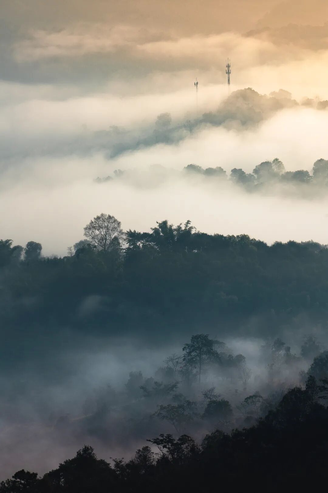 �й����ϣ�ƾʲô�ǡ������ʻ���������