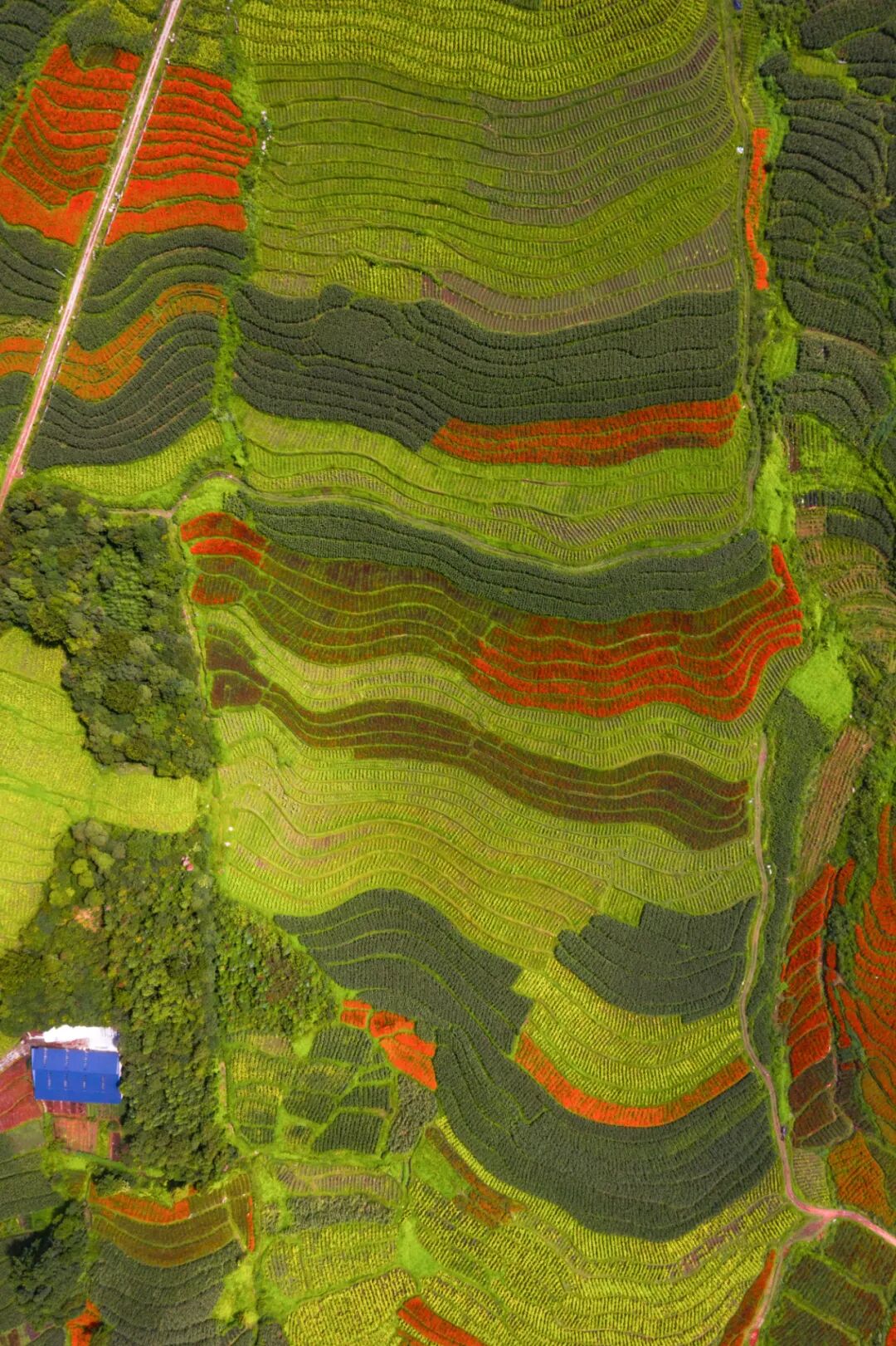 �й����ϣ�ƾʲô�ǡ������ʻ���������