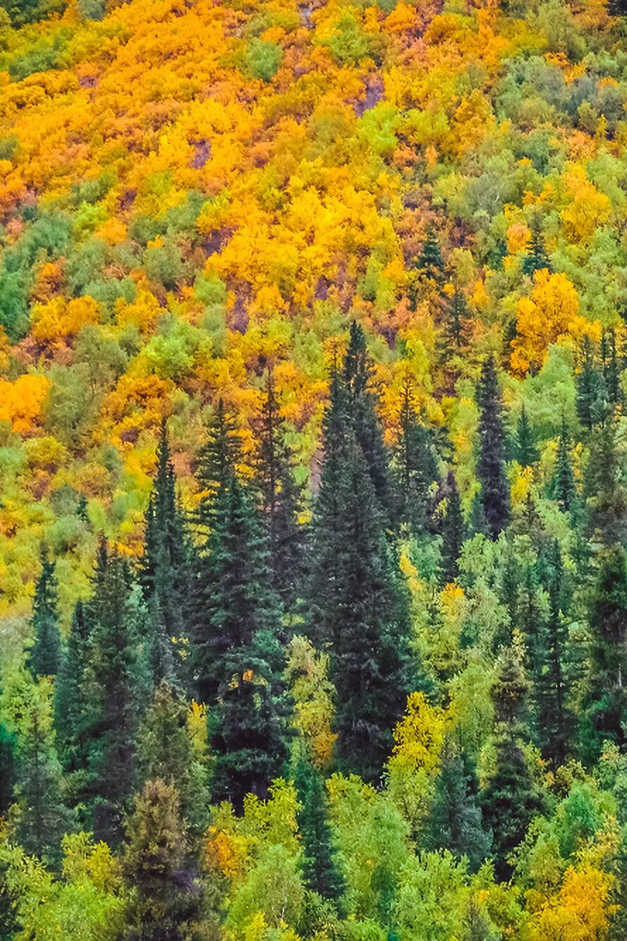 �й����ϣ�ƾʲô�ǡ������ʻ���������